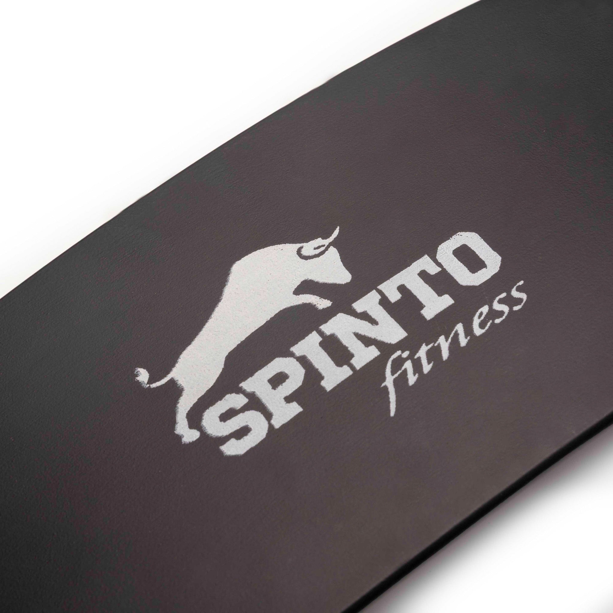 SP-79 Spinto Arm Blaster - SPINTO FITNESS USA