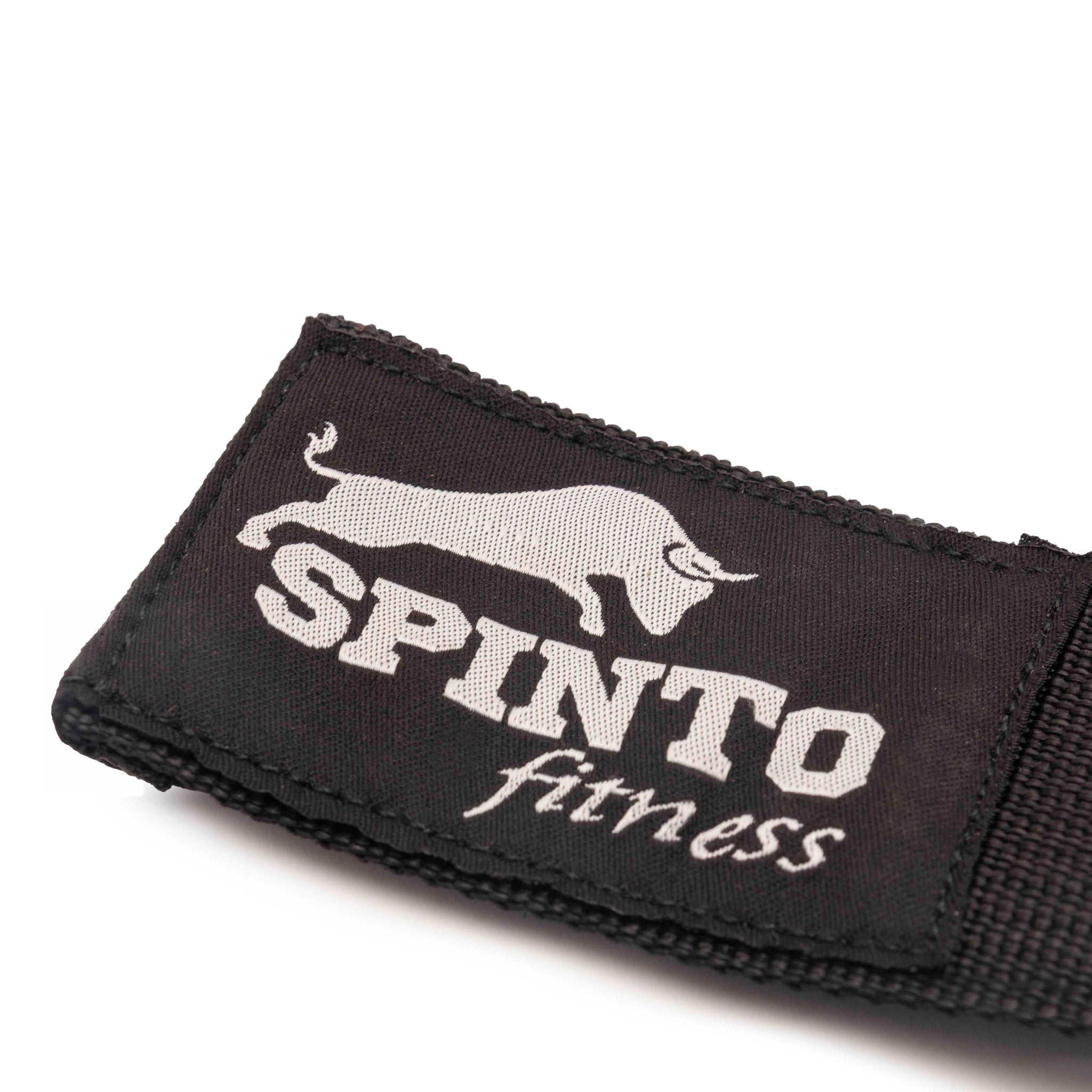 SP-94 Spinto Heavy duty lifting Hook - SPINTO FITNESS USA