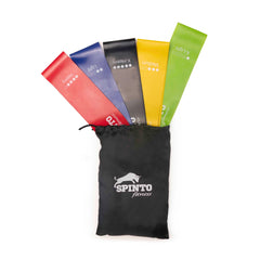  Spinto Resistance Bands | Full Body Workout & Rehab