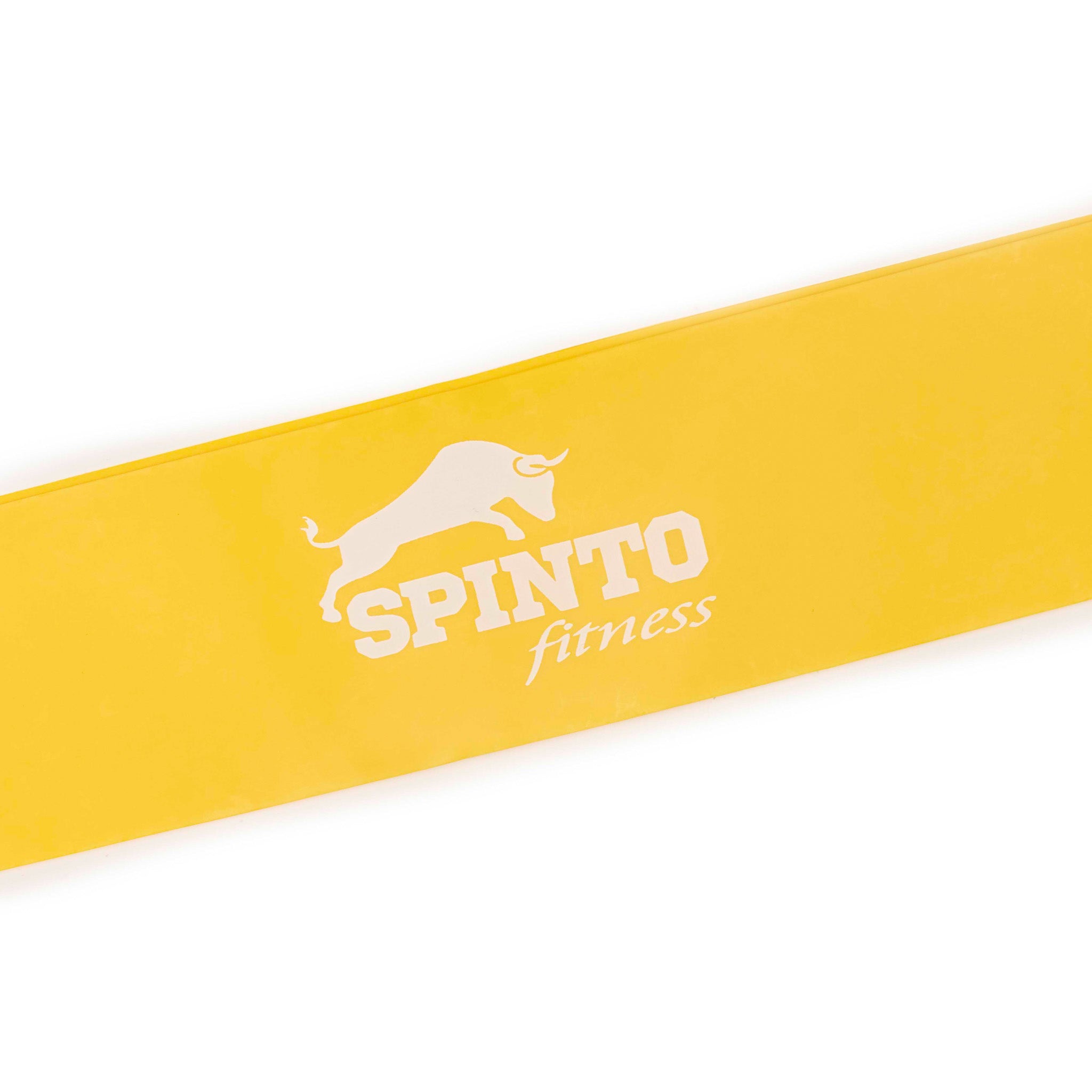  Spinto Resistance Bands | Full Body Workout & Rehab